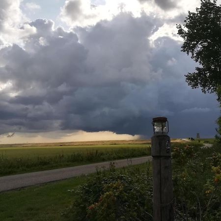 In De Boomgaard Apartman Burgh-Haamstede Kültér fotó